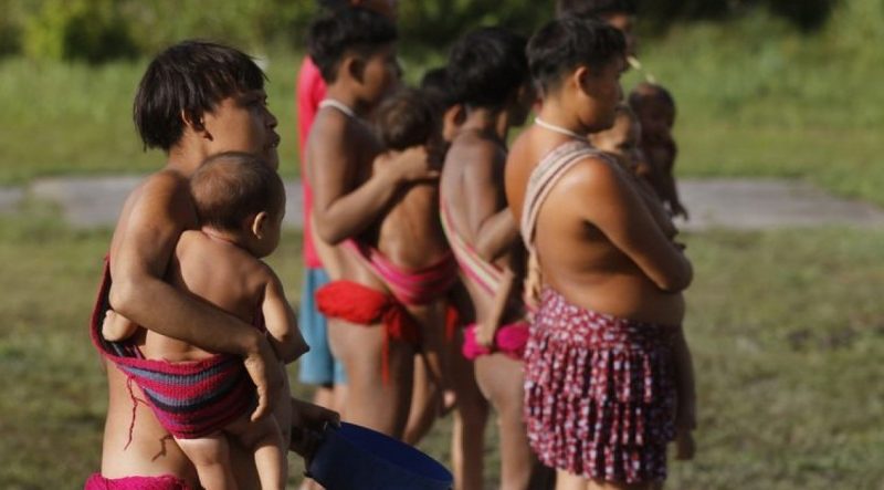 https://noticiadoamazonas.com.br/2023/05/comissao-chega-a-roraima-para-acompanhar-emergencia-yanomami/