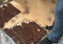 Polícia apreende 34 kg de cocaína negra avaliados em R$ 18 milhões em mansão de Ponta Negra