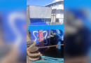 Caminhão cai durante embarque em ferry boat no porto de Manaus