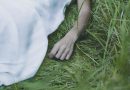 Senado aprova lei que pune divulgação de imagens de cadáveres e vítimas Senado aprova lei que pune divulgação de imagens de cadáveres e vítimas