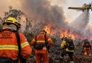 Amazonas mobiliza mais de mil agentes para combater queimadas em 35 municípios Amazonas mobiliza mais de mil agentes para combater queimadas em 35 municípios