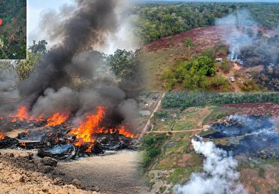 Ipaam multa dono de terreno em R$ 100 mil por uso ilegal do fogo em Careiro da Várzea Ipaam multa dono de terreno em R$ 100 mil por uso ilegal do fogo em Careiro da Várzea