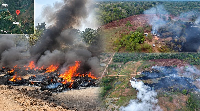 Ipaam multa dono de terreno em R$ 100 mil por uso ilegal do fogo em Careiro da Várzea Ipaam multa dono de terreno em R$ 100 mil por uso ilegal do fogo em Careiro da Várzea