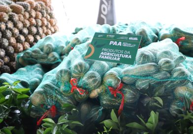 Editais visam compra de 1,6 mil toneladas de alimentos no AM; veja como participar Editais visam compra de 1,6 mil toneladas de alimentos no AM; veja como participar