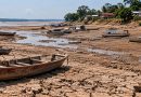 Amazonas enfrenta estiagem com 113 mil famílias afetadas e 46 cidades em emergência