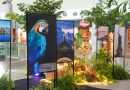 Manaus ganha exposição fotográfica no aeroporto em comemoração aos 357 anos da cidade