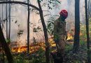 Governo aprova R$ 45,2 milhões para ajudar o Amazonas nas queimadas Governo aprova R$ 45,2 milhões para ajudar o Amazonas nas queimadas