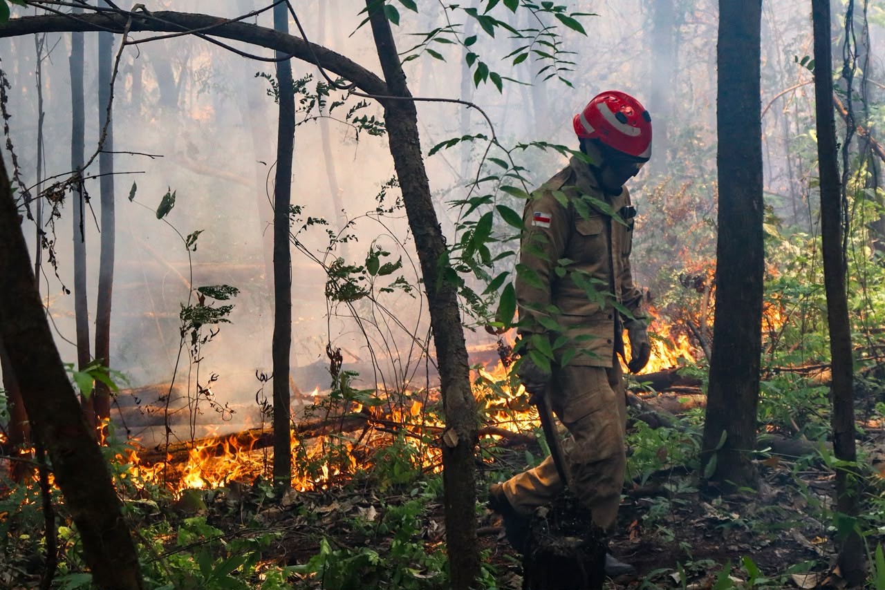 Governo valida R$ 45,2 milhões para ajudar o Amazonas nas queimadas