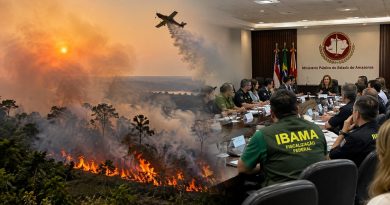 Ministério Público intensifica ações para punir responsáveis por queimadas no Amazonas Ministério Público intensifica ações para punir responsáveis por queimadas no Amazonas