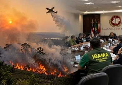 Ministério Público intensifica ações para punir responsáveis por queimadas no Amazonas Ministério Público intensifica ações para punir responsáveis por queimadas no Amazonas