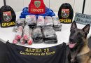 Mais de R$ 830 mil em drogas são apreendidos durante operação policial no interior do Amazonas