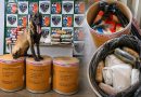 Cão farejador descobre 72 kg de drogas escondidas em tonéis dentro de balsa no Amazonas