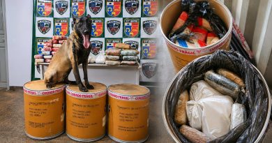 Cão farejador descobre 72 kg de drogas escondidas em tonéis dentro de balsa no Amazonas