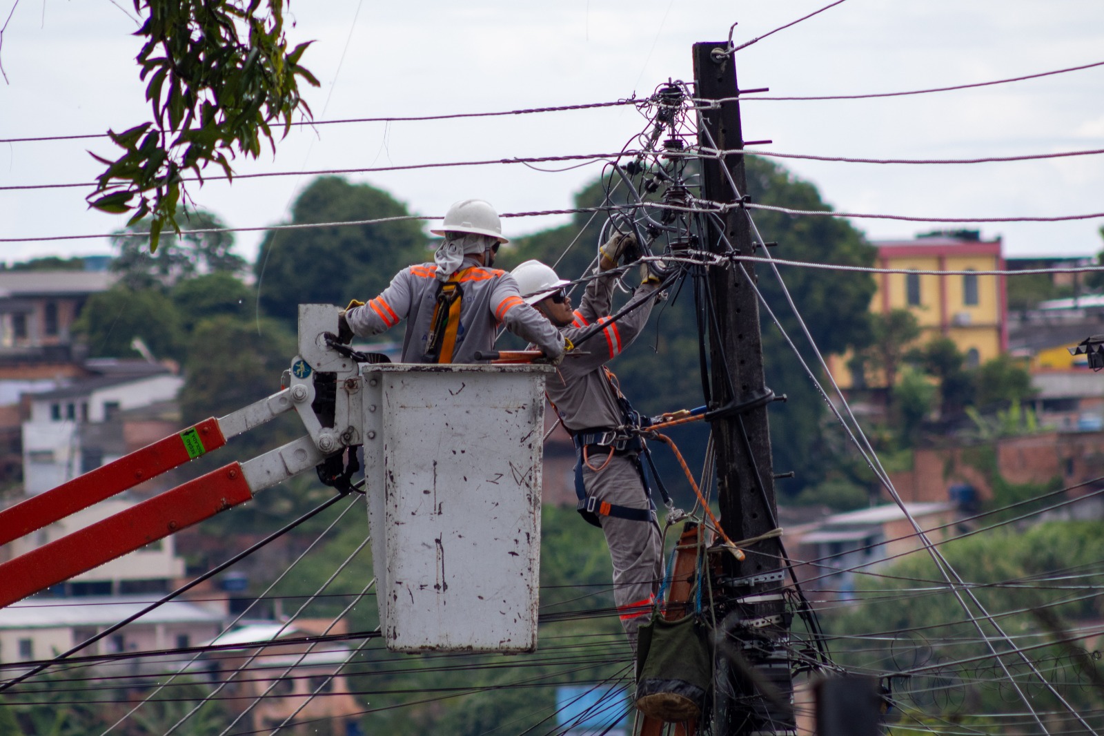 Panorama: Serviços programados interrompem rede elétrica em Manaus; veja locais